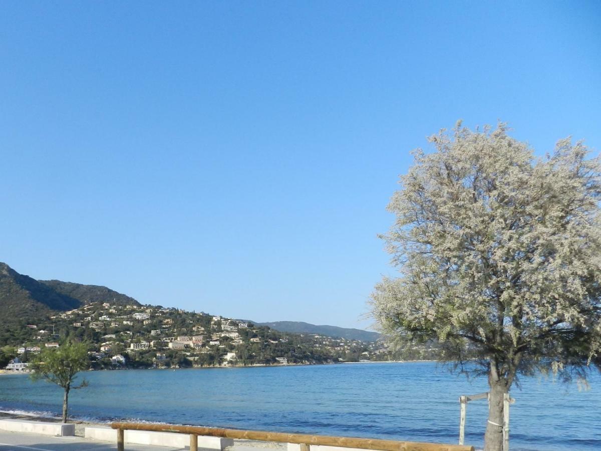 Appartement Les Pieds Dans L'Eau ! Le Lavandou Esterno foto
